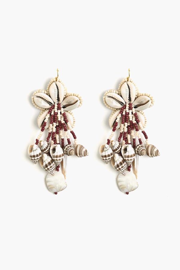 Sand & Sea Shells - Image 2